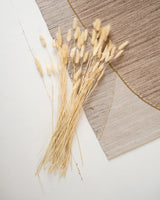 Dried Flowers- Lagurus White