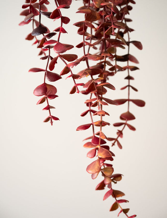 Faux Flower Eucalyptus Hanging - Things I Like Things I Love