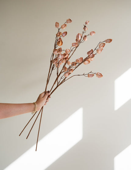 Faux Flower Lunaria Beige - Things I Like Things I Love