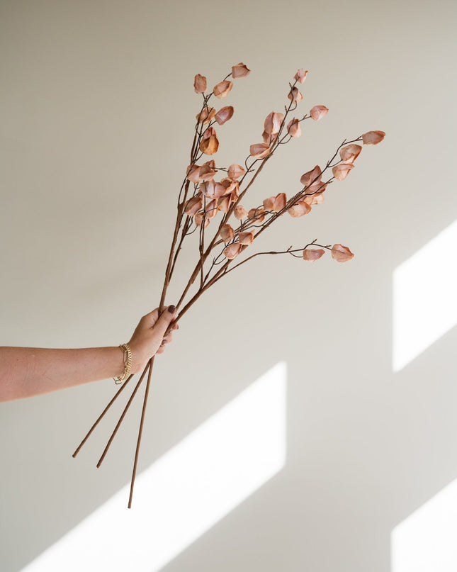 Faux Flower Lunaria Beige - Things I Like Things I Love