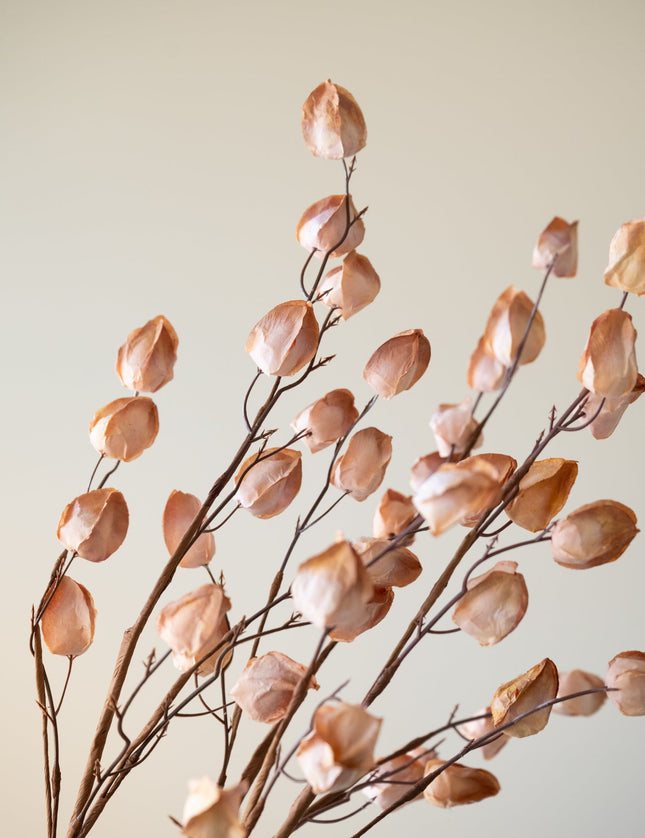 Faux Flower Lunaria Beige - Things I Like Things I Love