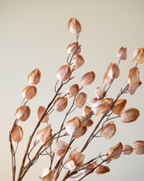 Faux Flower Lunaria Beige