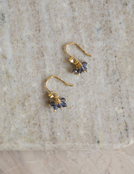 Hook Earring Lina New Iolite Blue - Things I Like Things I Love