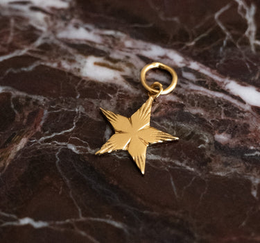 Necklace Charm Shiny Star Gold - Things I Like Things I Love