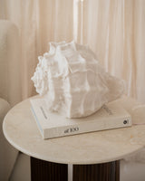 Table Lamp Shell Venus