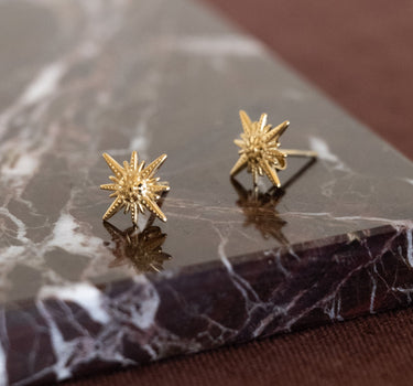 TILTIL Single Stud Goldplated Star - Things I Like Things I Love