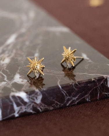 TILTIL Single Stud Goldplated Star - Things I Like Things I Love