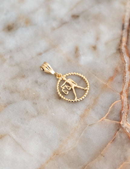 Goldfilled Necklace Charm Zodiac - Things I Like Things I Love