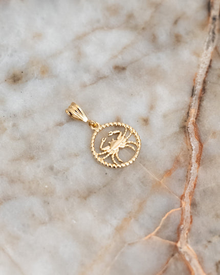 Goldfilled Necklace Charm Zodiac - Things I Like Things I Love