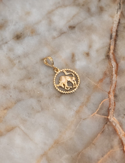 Goldfilled Necklace Charm Zodiac - Things I Like Things I Love