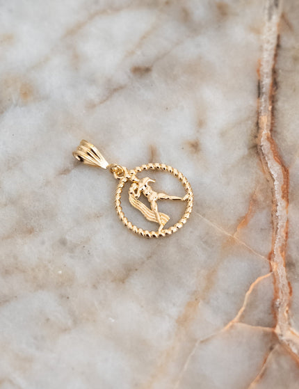 Goldfilled Necklace Charm Zodiac - Things I Like Things I Love