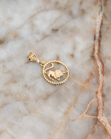 Goldfilled Necklace Charm Zodiac - Things I Like Things I Love