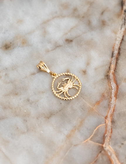 Goldfilled Necklace Charm Zodiac - Things I Like Things I Love