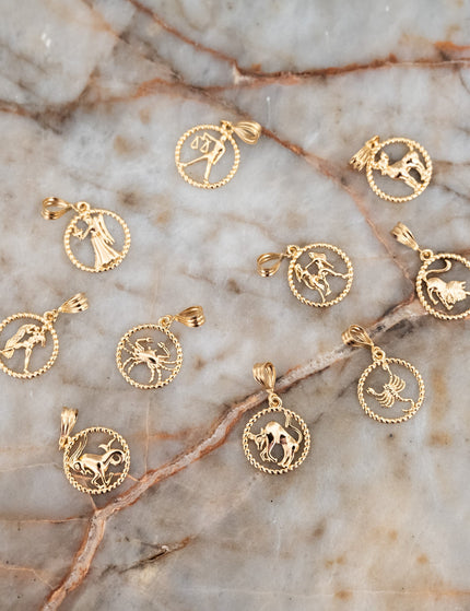 Goldfilled Necklace Charm Zodiac - Things I Like Things I Love